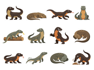 Obraz premium A collection of various Komodo dragon illustrations in different poses and activities.
