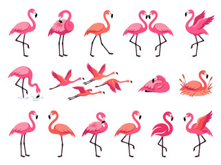 Obraz premium A collection of various pink flamingo illustrations in different poses and activities.