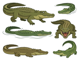 Fototapeta premium A collection of cartoon crocodiles in various poses and actions.