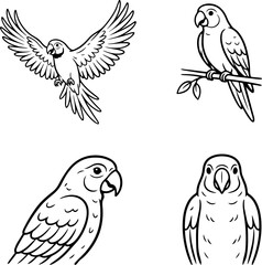 Fototapeta premium Four parrot outlines in various poses with wings spread perched and front facing