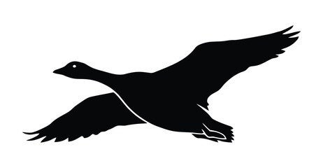 Flying Goose Icons, Silhouette and Outline Vector Graphics for Wildlife and Nature Designs. Silhouetto of a Canada goose in flight against a white background with wings spread wide.  © ontor