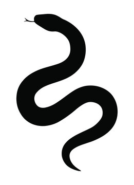 Black coiled snake icon silhouette. Black snake vector illustration reptile serpent viper cobra python animal wildlife design graphic drawing.