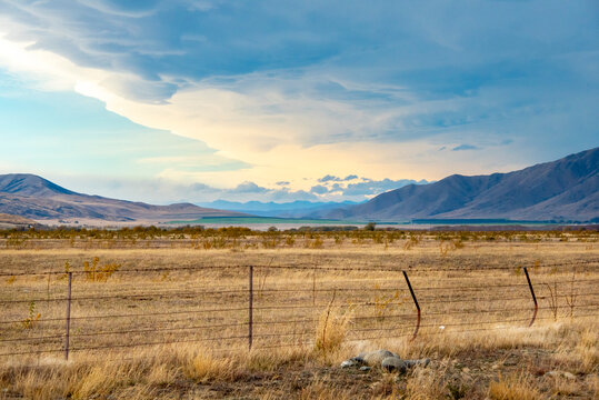 Pasture in Canterbury Region - New Zealand