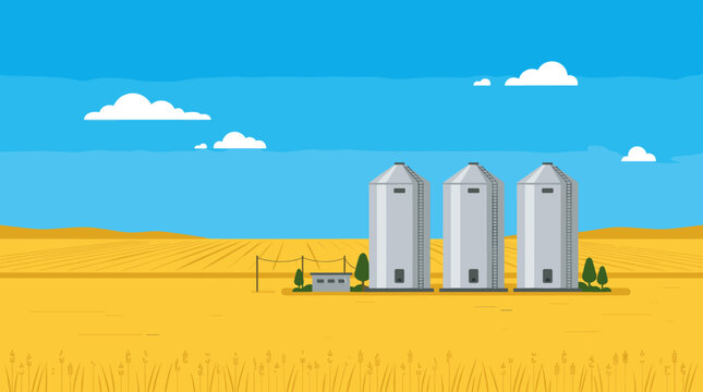 Three modern grain silos in a golden wheat field.