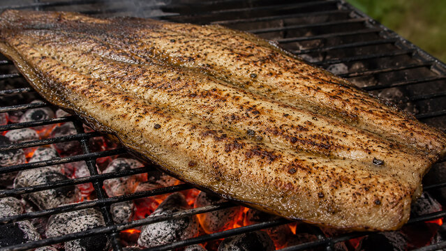 Grilled fish fillet cooking on barbecue grill over hot charcoal with smoke background.