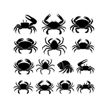 Silhouette collection of diverse crab species featuring detailed black vector icons representing various marine crustaceans hermit crabs fiddler crabs and sea life elements on clean background