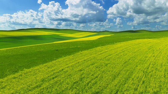 Aerial view of patchwork green-yellow farmlands under blue sky