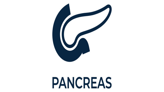 Pancreas icon illustrates the essential human organ for biological study and clinical anatomy.