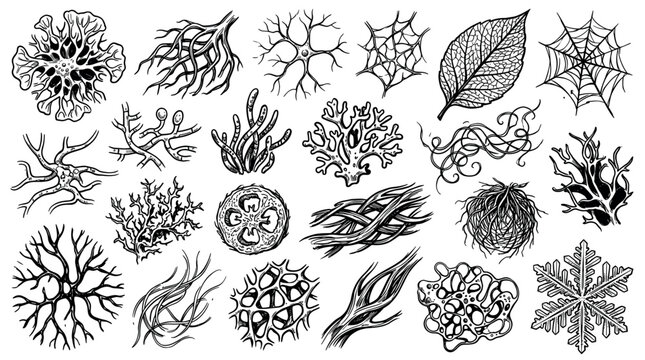 Diverse hand-drawn black and white organic shapes, including coral, roots, neurons, and spiderwebs, creating a detailed pattern on a clean white background