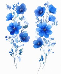 Obraz premium Two vertical stems of blue watercolor flowers with delicate leaves and buds on a white background, peaceful and elegant botanical composition