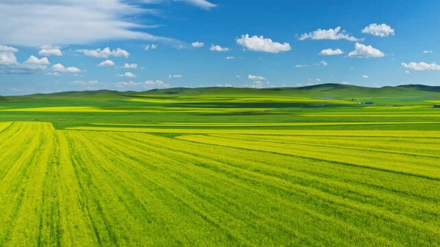 Aerial view of patchwork green-yellow farmlands under blue sky