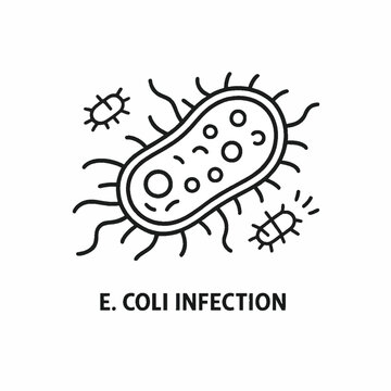 E. coli Bacteria Infection Illustration