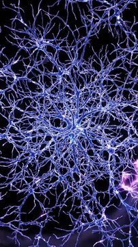 Exploring the Intricate Structure of Neurons: A Close-Up View of Neural Networks Illuminated in Brilliant Blue Against a Dark Background