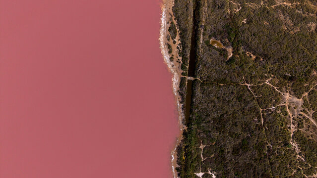 Senkrechte Luftaufnahme der Grenze von rosa Salzlagune und Land