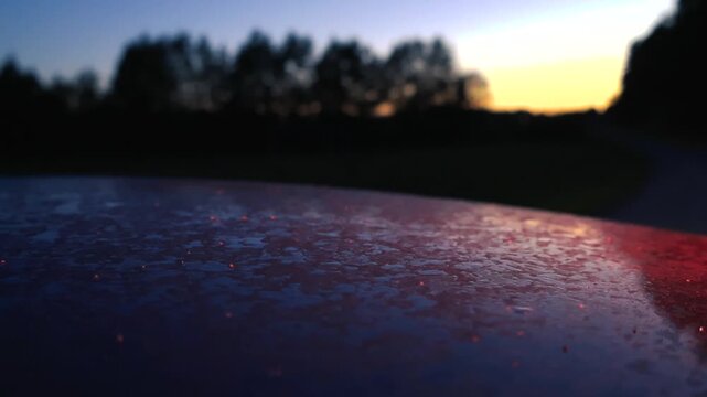 Red and blue emergency lights from a police vehicle reflecting on the wet roof of a car during a beautiful sunset, creating an atmospheric and tense scene with a blurred background