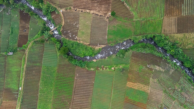 Aerial view of terraced agricultural fields and a winding river flowing through the lush landscape in West Java, Indonesia.