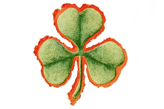 Green shamrock leaf illustration with  textured red border and detailed pointillist pattern