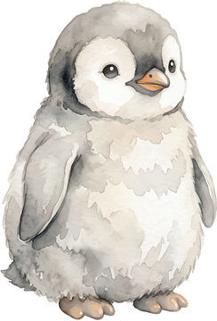 Watercolor illustration features a fluffy grey baby penguin in a cute and soft artistic style, perfect for childrens products.