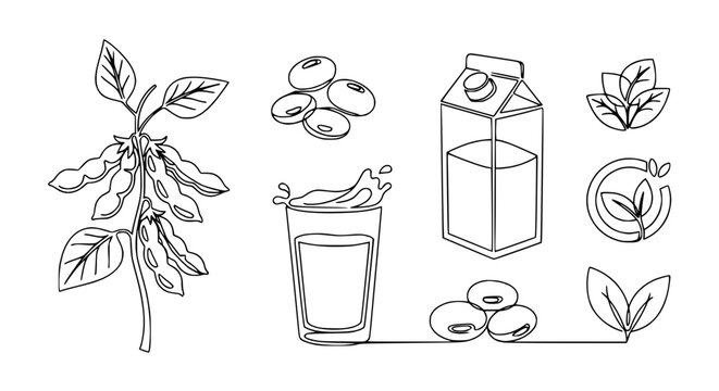 Soybean Plant, Beans, Milk Carton, Glass, and Leaves - Continuous Line Art