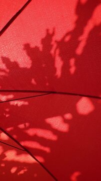 Vertical Tropical Leaf Shadows on Beach Umbrella, Summer Holiday Background