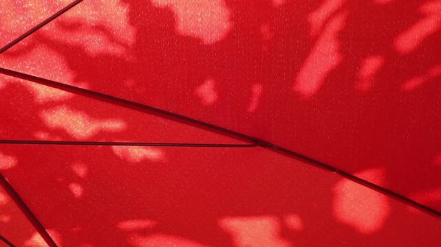Tropical Leaf Shadows on Beach Umbrella, Summer Vacation Background