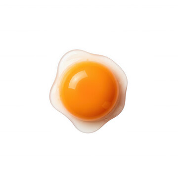 Raw Egg Yolk with Thin Egg White Layer