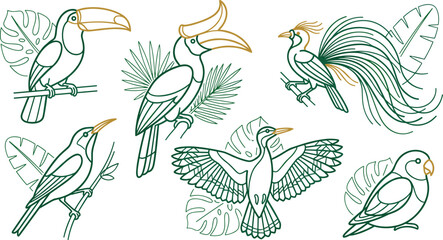Fototapeta premium Tropical Exotic Bird Illustration Collection Featuring Toucan Hornbill Bird of Paradise Parrot and Monstera Foliage Wildlife Vector Set