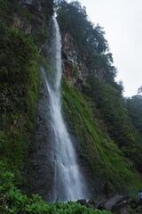 Tall majestic waterfall cascading down a lush green mountain cliff © Gu
