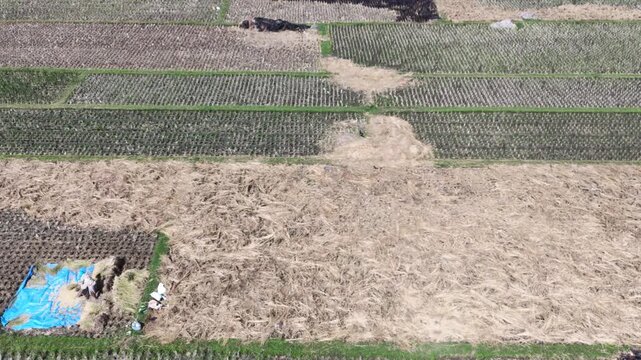 Cracked earth field sequence with blue mat.