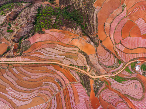 China, Yunnan province, Dongchuan, Red Land