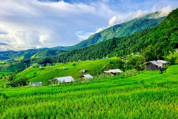 Fototapeten Reisfelder Terraced rice fields and mountain landscape at Pa Pong Piang, Thailand  © Apichat123