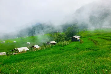 Fototapeten Reisfelder Misty terraced rice fields at Pa Pong Piang village in Chiang Mai, Thailand  © Apichat123
