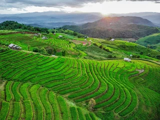 Fotobehang Groen Aerial view of terraced rice fields and mountain landscape at sunset in Pa Pong Piang, Chiang Mai, Thailand  © Apichat123