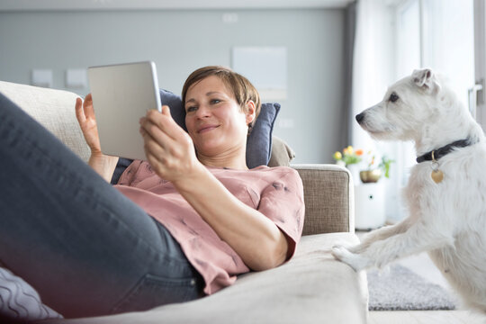 Portrait of smiling woman lying on the couch using tablet while dog watching her