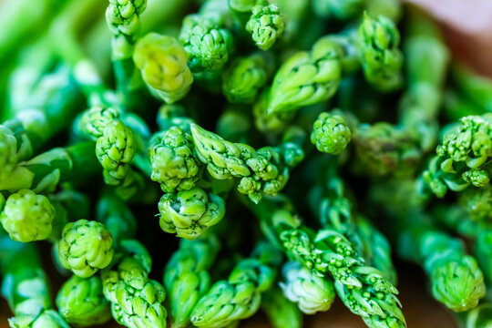 Close up of fresh raw green asparagus tips in spring
