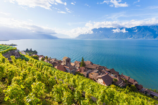 Switzerland, Lavaux, Lake Geneva, wine-growing area Saint-Saphorin