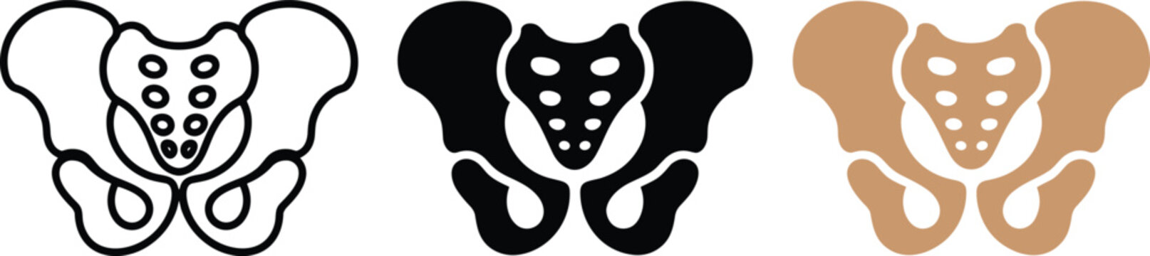 Set of three professional human pelvis hip bone icons in outline and solid flat styles for clean medical designs.