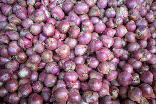 A pile of fresh red onion (Allium cepa) with dry skin on traditional market in Indonesia