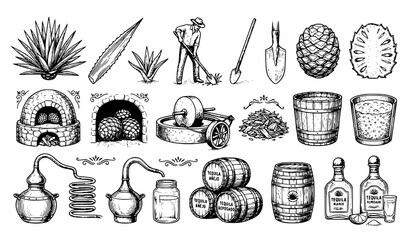 Obraz premium Hand Drawn Tequila Production Engraving Vector Set with Agave and Distillery Icons