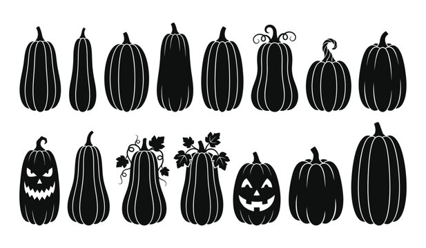 Halloween silhouette pumpkins and gourds vector graphic