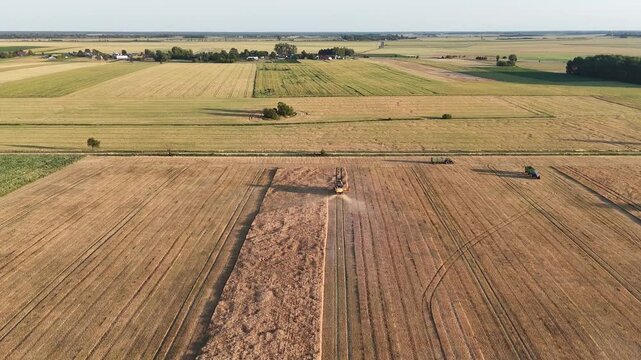 Aerial Drone View of Combine Harvester Harvesting Grain Field with White Storks in Podlaskie, Poland