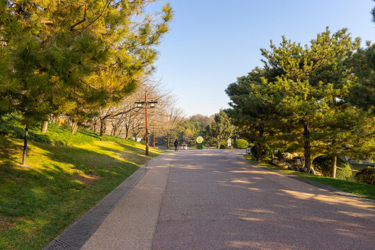 Beautiful view of Tang Paradise park and lake at twilight in Xi'an, China.