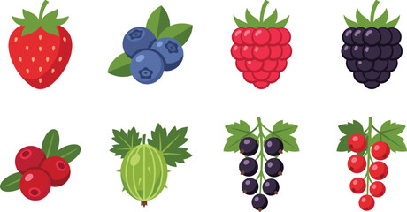 Fresh berry vector icon set with strawberry blueberry raspberry blackberry cranberry gooseberry blackcurrant and redcurrant © MstAshida