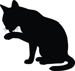 Obraz premium Black Cat Licking Paw Silhouette Vector Sitting Feline Template