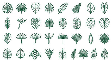 Tropical Leaf Botanical Icon Set © Bams