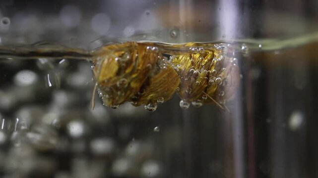 Macro slow motion of dendrobium stems boiling in hot water, creating bubbles inside a glass pot.