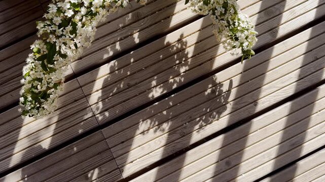 Likely bridal wreath spirea blossoms cast soft shadows across a sunlit wooden deck, creating a calm spring garden detail at a Provence resort.