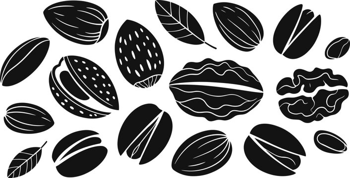 Various nuts silhouettes set including almonds walnuts pistachios and leaves for healthy food design and menu decoration.