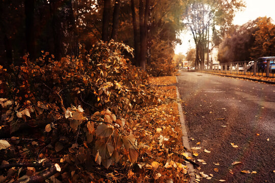 Beautiful Nature Autumn landscape. Scenery view on autumn city park with golden yellow foliage in Sunny day. Walking path in the city Park strewn with autumn fallen leaves.