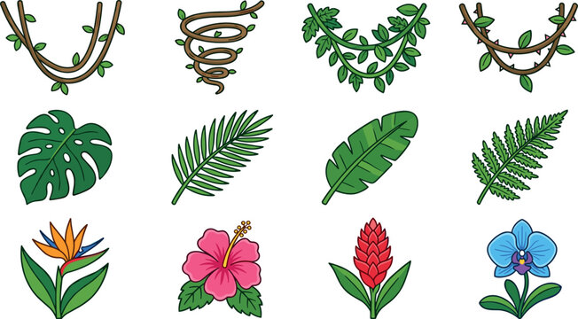 Tropical jungle plant vector icon set featuring rainforest vines hanging lianas monstera palm banana fern leaves bird of paradise hibiscus and orchid flowers